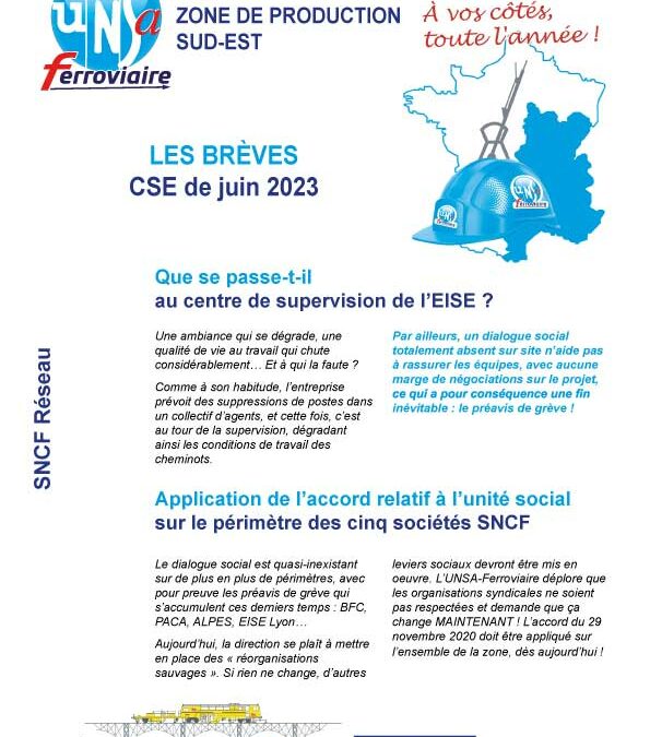 CSE Réseau – ZPSE