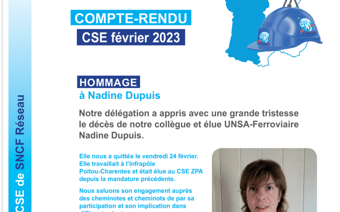 CSE Réseau – ZPA