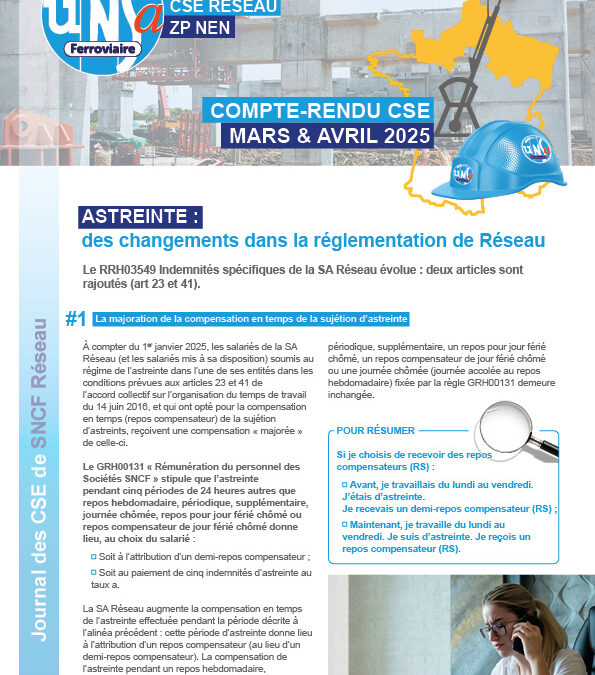 CSE Réseau – ZP NEN