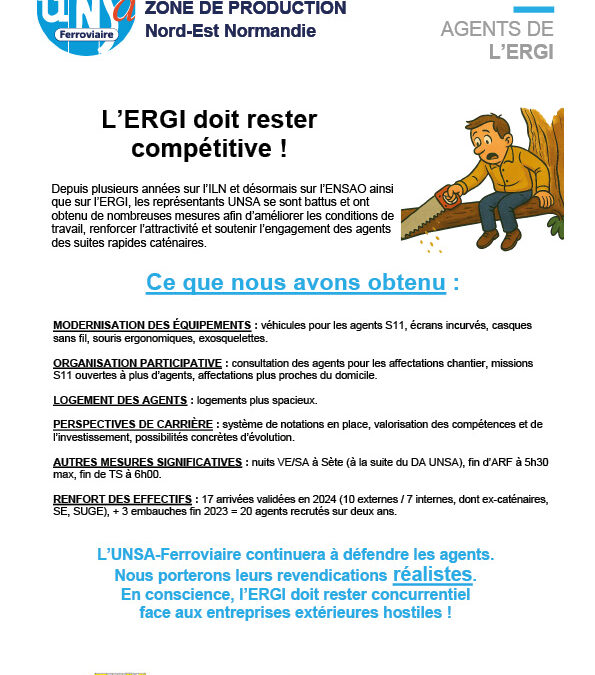 CSE Réseau – ZP NEN