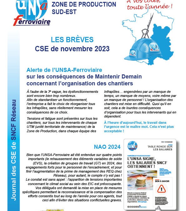 CSE Réseau – ZPSE