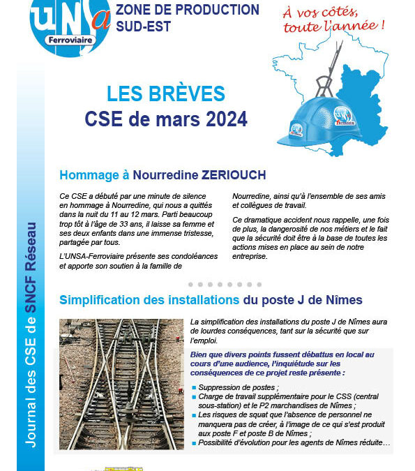 CSE Réseau – ZPSE