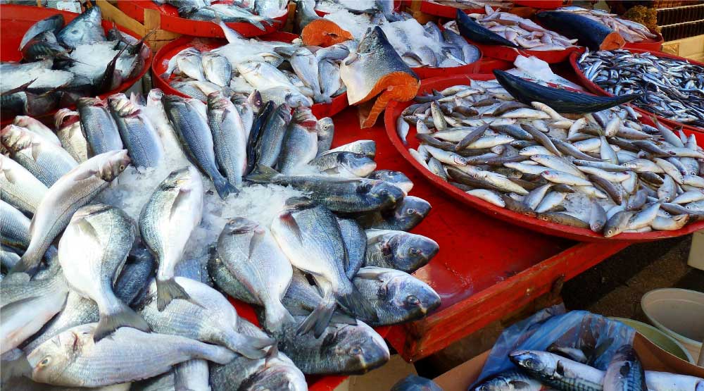 Pixa---Marché-poissons-1